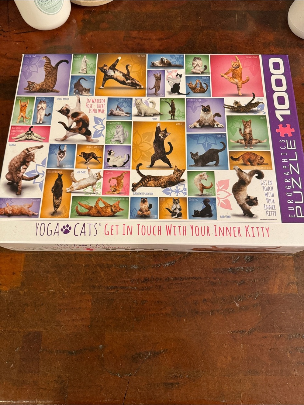 Yoga Cats 1000-Piece Jigsaw Puzzle - Multi